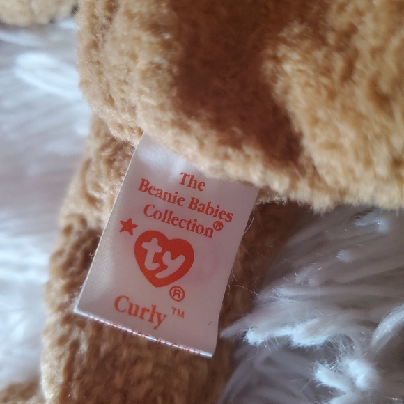 Ty Beanie Babies Curly The Bear 1996 - Picture 7 of 7